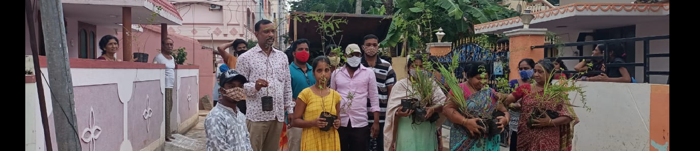Plants Distribution  Programme in all Wards  in month of July 2021